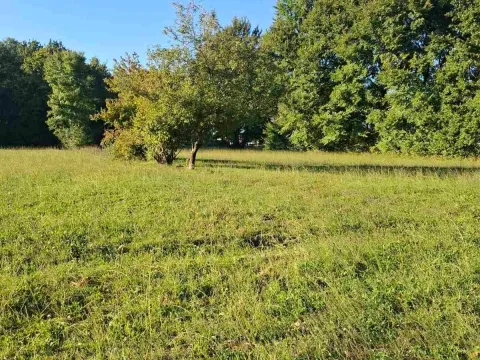 Prodaja, plac, 2881m², Begovina, Danilovgrad - image 6