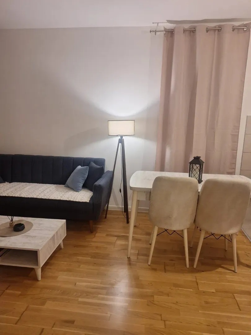 Rent, one bedroom apartment, 31m², Zabjelo, Podgorica