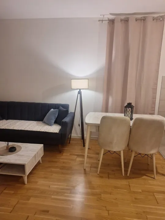 Rent, one bedroom apartment, 31m², Zabjelo, Podgorica