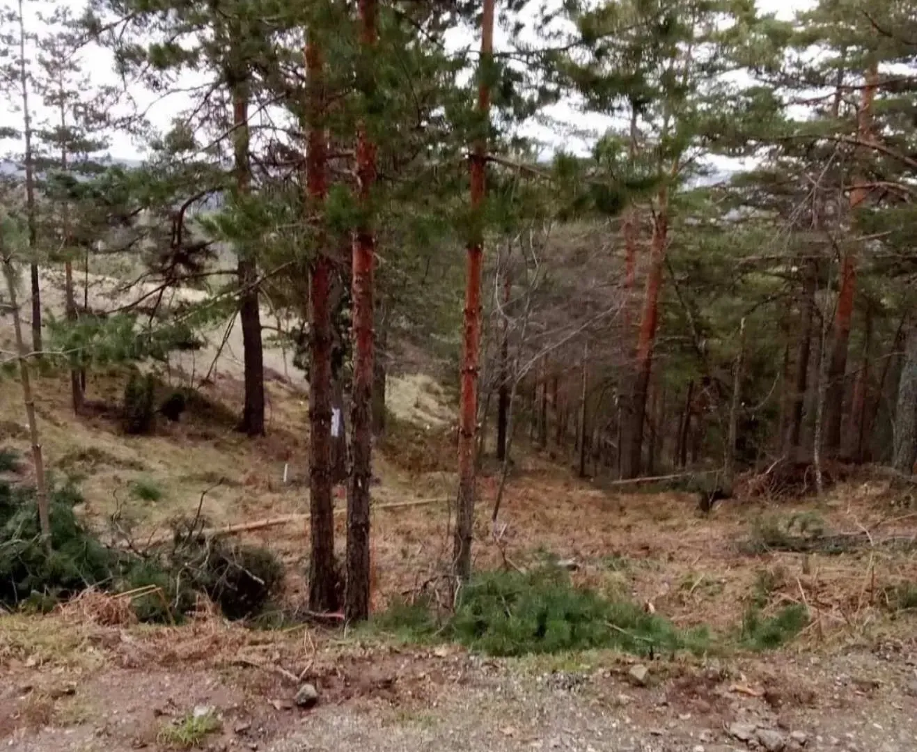 Prodaja, plac, 850m², Divčibare, Valjevo