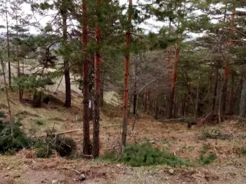 Sale, land lot, 850m², Divčibare, Valjevo - image 4