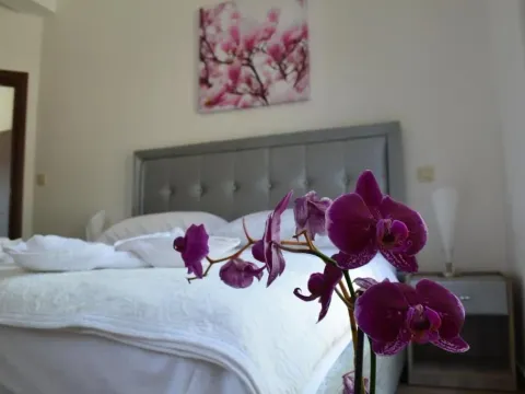 Izdavanje, ugostiteljski objekat, 500m², Dobrota, Kotor - image 6