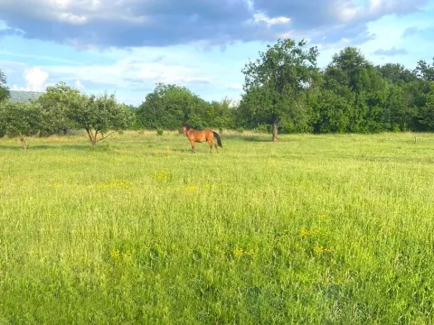 Prodaja, kuća, 70m², Danilovgrad, Crna Gora - image 2