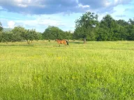 Prodaja, kuća, 70m², Danilovgrad, Crna Gora - image 2
