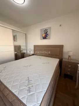 Izdavanje, jednosoban stan, 44m², Stari Aerodrom, Podgorica - image 9