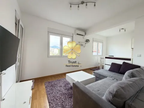 Rent, one bedroom apartment, 45m², Stari Aerodrom, Podgorica - image 2
