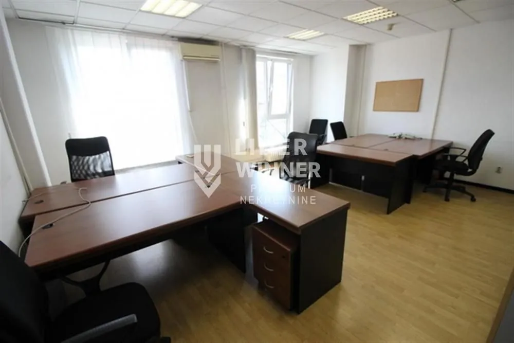 Izdavanje, poslovni prostor, 220m², Centar Sve Podlokacije, Beograd