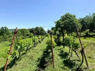 Sale, house, 80m², Bandići, Danilovgrad - image 3