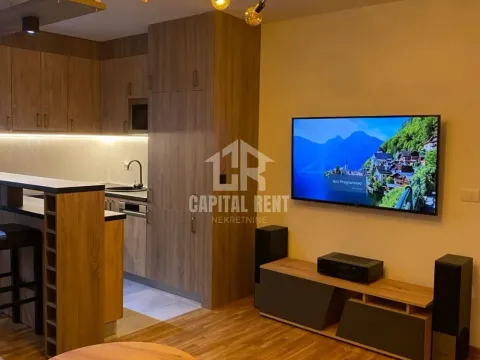 Rent, one bedroom apartment, 47m², Ledine, Beograd - image 11