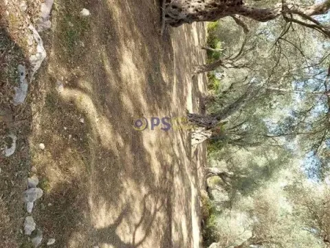 Prodaja, plac, 3500m², Bar, Crna Gora - image 3