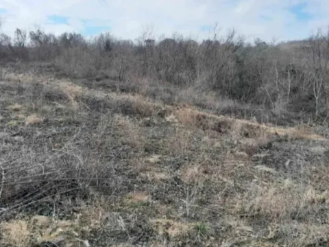 Prodaja, plac, 6400m², Plavinci, Grocka - image 6