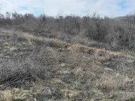 Prodaja, plac, 6400m², Plavinci, Grocka - image 6