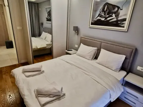 Izdavanje, jednosoban stan, 50m², Central Point, Podgorica - image 10