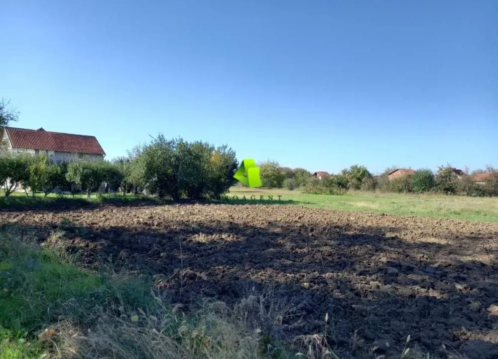 Prodaja, plac, 2000m², Dobrujevac, Boljevac