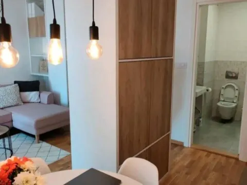 Rent, one bedroom apartment, 38m², Adamovićevo Naselje, Novi Sad Sve Podlokacije - image 5