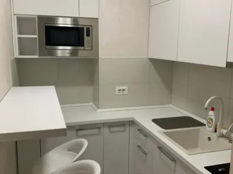 Izdavanje, dvosoban stan, 55m², Novi Beograd Blok 67, Novi Beograd Sve Podlokacije - image 9