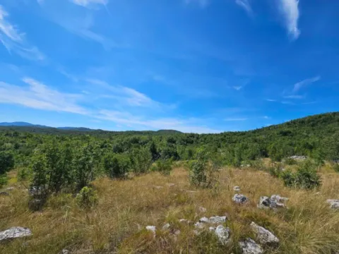 Prodaja, plac, 529222m², Vilusi, Nikšić - image 9