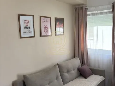 Sale, one bedroom apartment, 27m², Veternik, Novi Sad Sve Podlokacije - image 2