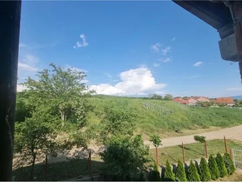 Prodaja, kuća, 345m², Niš, Srbija - image 8