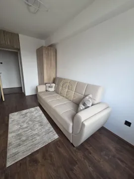 Dnevna soba sa bež kaučem, tepihom i ormarom. - image 9