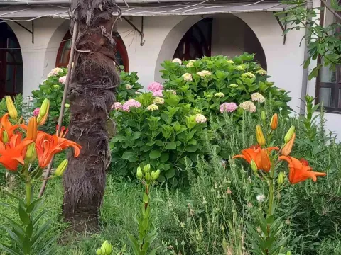 Prodaja, kuća, 138m², Podgorica, Crna Gora - image 6