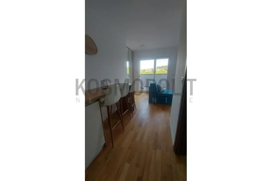 Rent, one bedroom apartment, 29m², Zvezdara Sve Podlokacije, Beograd