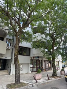 Exterior of a residential building with a ground-floor commercial space and trees in front. - image 2