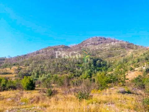 Prodaja, plac, 480000m², Brestice, Nikšić - image 4