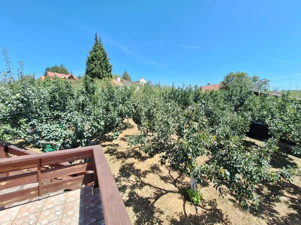Sale, house, 253m², Banja Vrdnik, Irig