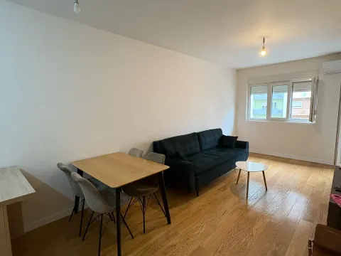 Izdavanje, jednosoban stan, 47m², Central Point, Podgorica - image 13