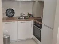 Izdavanje, jednosoban stan, 42m², Central Point, Podgorica - image 3