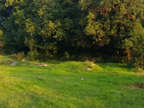 Prodaja, plac, 1500m², Podi, Herceg Novi - image 3