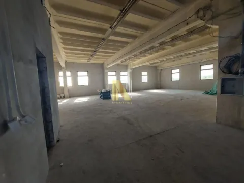 Rent, office space, 1500m², Klisa, Novi Sad Sve Podlokacije - image 7