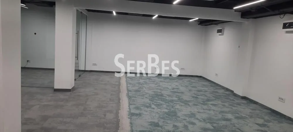 Rent, office space, 305m², Bulevar Oslobodjenja, Novi Sad Sve Podlokacije