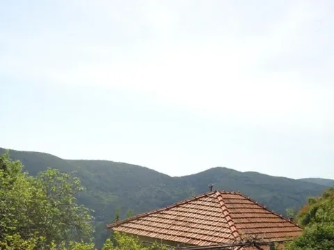 Prodaja, kuća, 743m², Sutorina, Herceg Novi - image 1