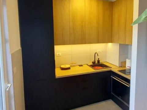 Izdavanje, jednosoban stan, 47m², Zagorič, Podgorica - image 1