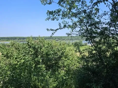 Sale, land lot, 5000m², Stari Slankamen, Inđija - image 8