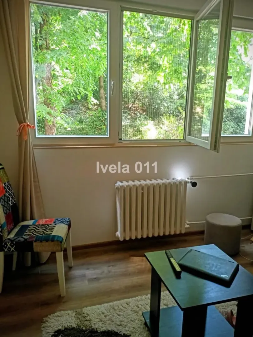 Pogled na prozore i zelenilo iz sobe sa nameštajem i radijatorom.