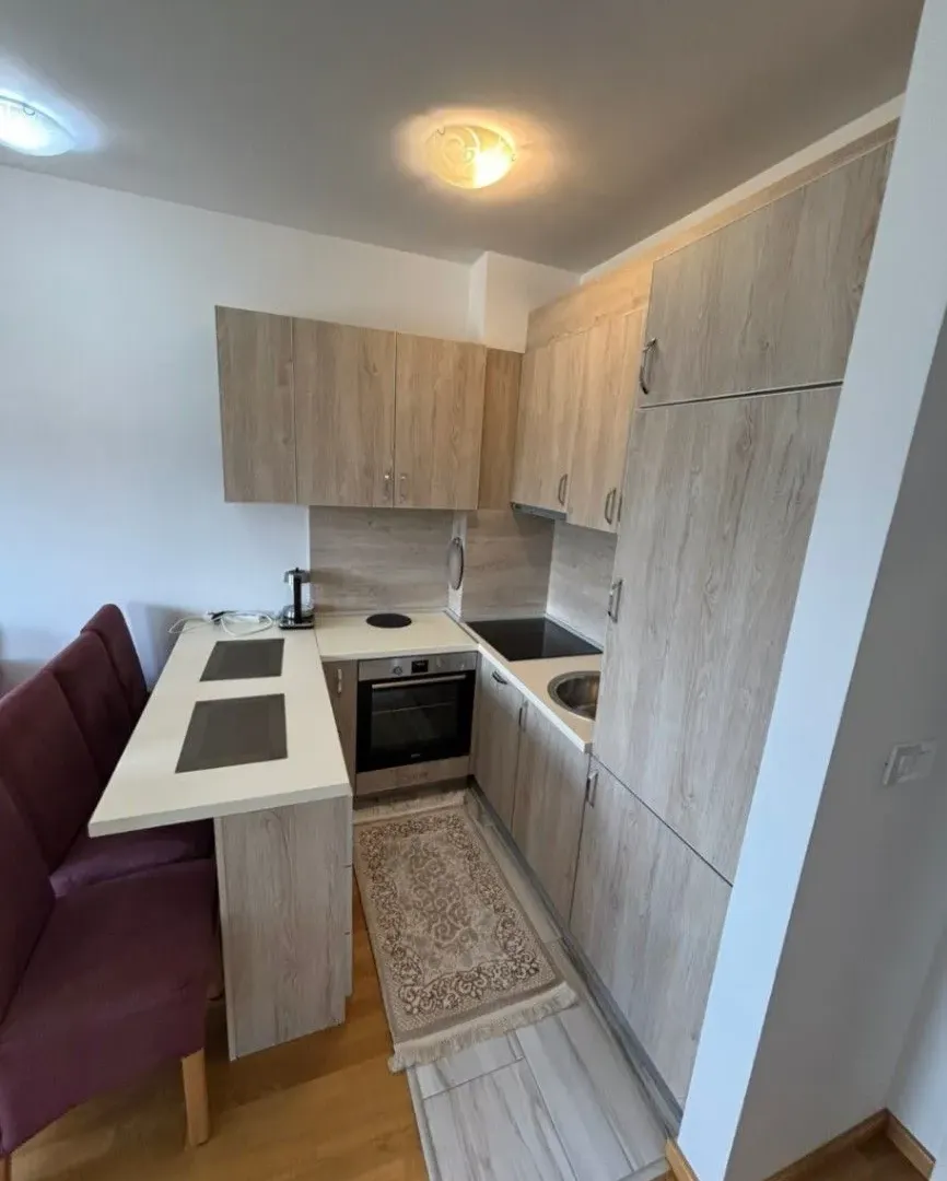 Izdavanje, jednosoban stan, 45m², Stari Aerodrom, Podgorica