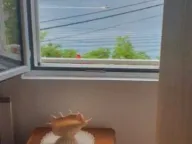 Prodaja, kuća, 113m², Stoliv, Kotor - image 6