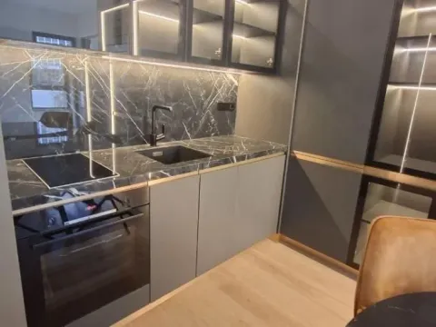 Sale, one bedroom apartment, 55m², Savski Venac, Beograd - image 3