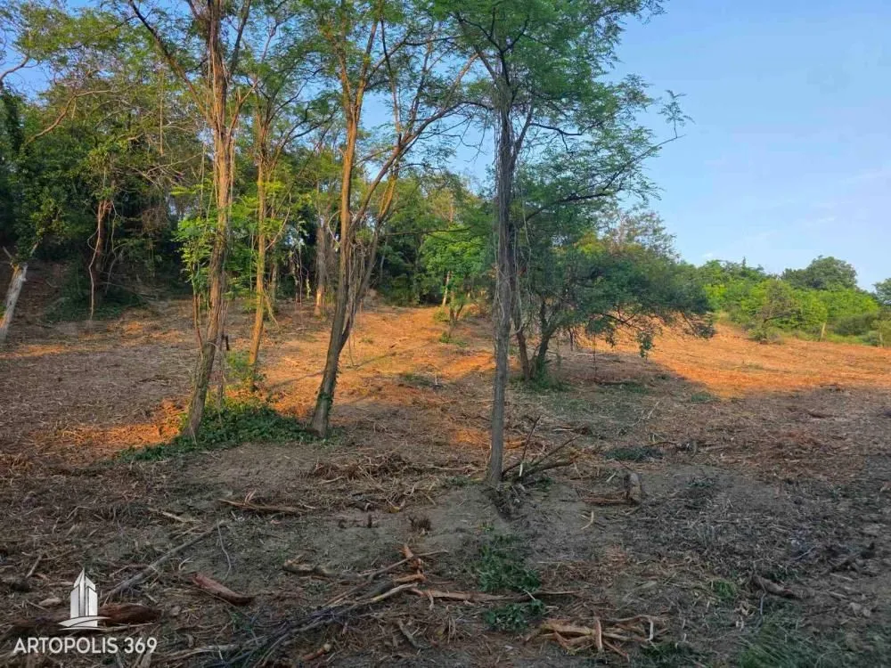 Prodaja, plac, 3729m², Artiljevo, Petrovaradin