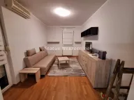Izdavanje, dvosoban stan, 45m², Grbavica, Novi Sad Sve Podlokacije