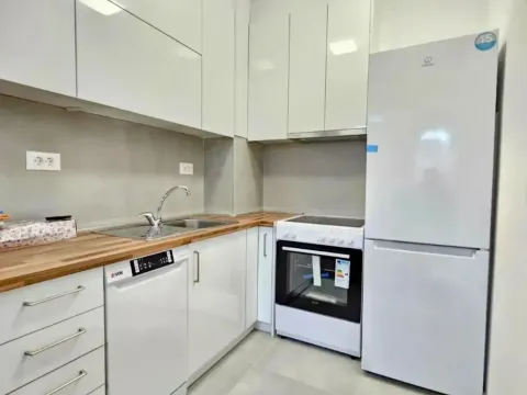 Izdavanje, jednosoban stan, 47m², Stari Aerodrom, Podgorica - image 4