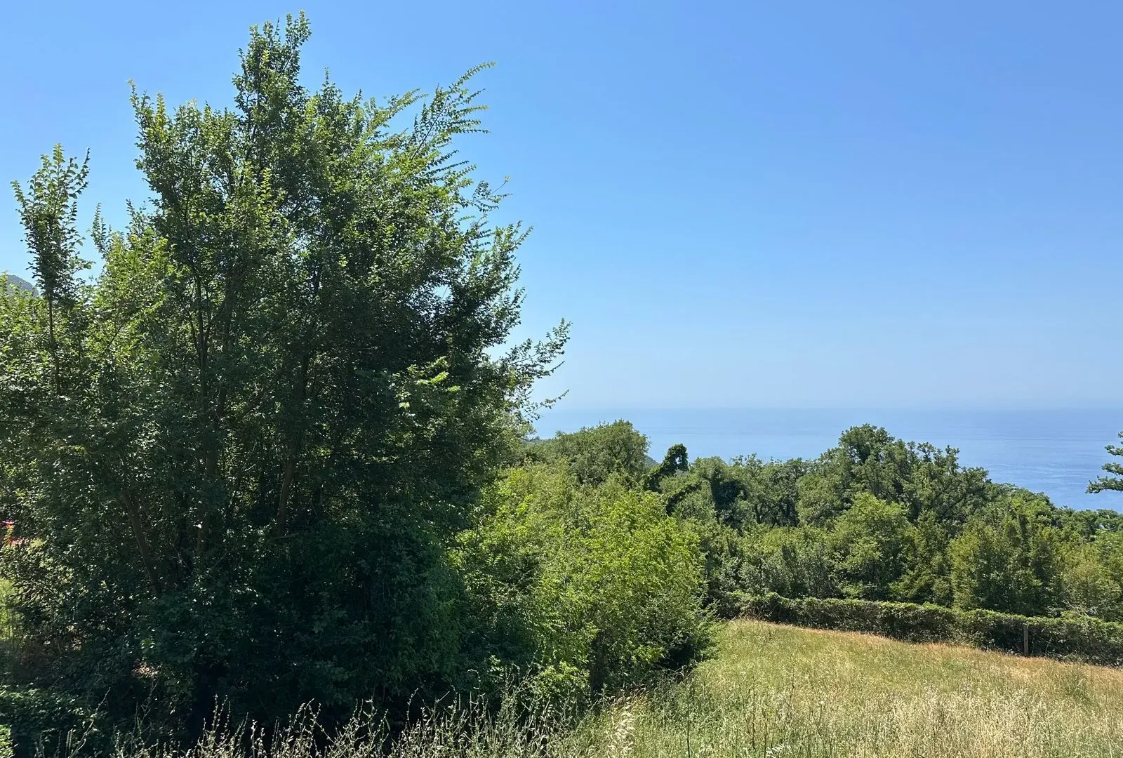Prodaja, plac, 546m², Kuljače, Budva