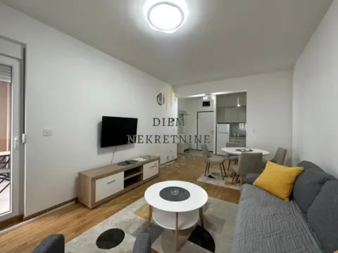 Rent, one bedroom apartment, 45m², Stari Aerodrom, Podgorica - image 10