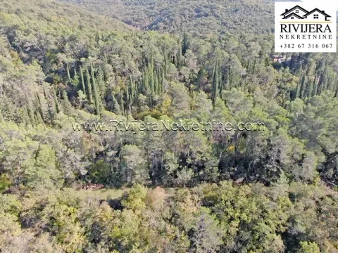 Prodaja, plac, 33385m², Sutorina, Herceg Novi - image 6