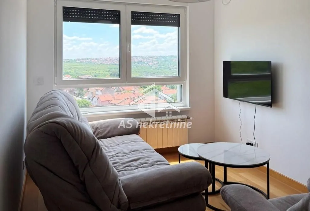 Izdavanje, dvosoban stan, 39m², Bul Kralja Aleksandra, Zvezdara Sve Podlokacije