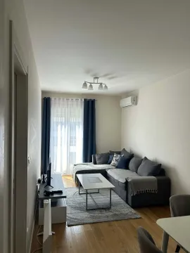Izdavanje, jednosoban stan, 43m², Central Point, Podgorica - image 5
