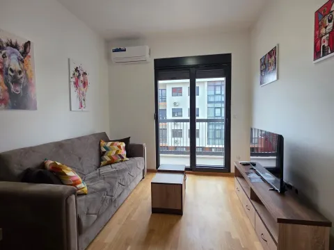 Izdavanje, stan, 37m², Zabjelo, Podgorica - image 1